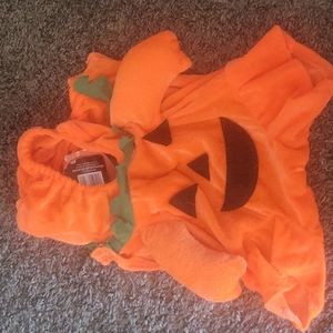 Pumpkin Halloween dog costume